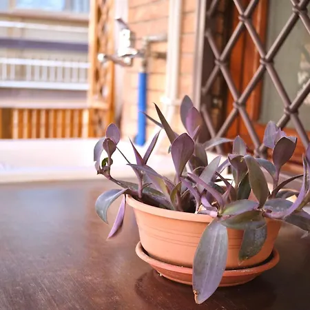 Dilly's Terrace * Rom